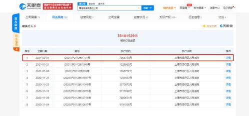 蛋殼公寓關(guān)聯(lián)公司再遭執(zhí)行，信息技術(shù)背后的租賃風(fēng)波